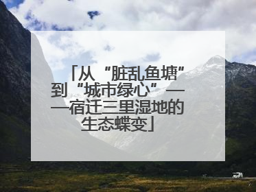 从“脏乱鱼塘”到“城市绿心”——宿迁三里湿地的生态蝶变