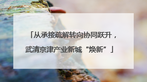 从承接疏解转向协同跃升，武清京津产业新城“焕新”