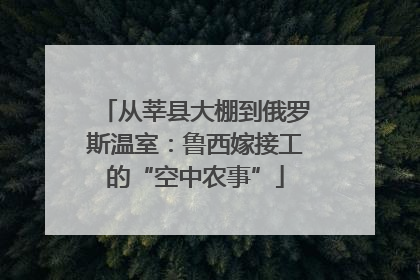 从莘县大棚到俄罗斯温室：鲁西嫁接工的“空中农事”
