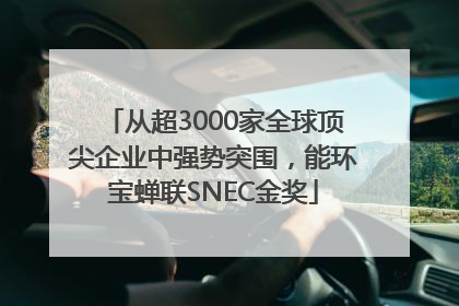 从超3000家全球顶尖企业中强势突围，能环宝蝉联SNEC金奖