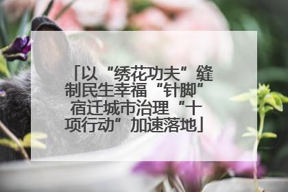 以“绣花功夫”缝制民生幸福“针脚” 宿迁城市治理“十项行动”加速落地