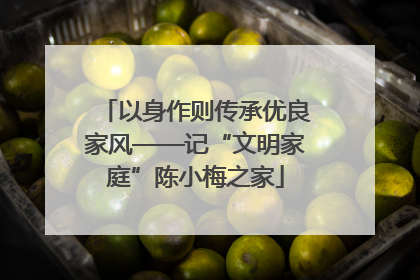 以身作则传承优良家风——记“文明家庭”陈小梅之家