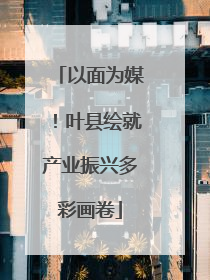以面为媒！叶县绘就产业振兴多彩画卷