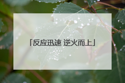 反应迅速 逆火而上