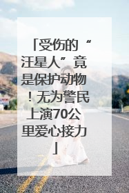 受伤的“汪星人”竟是保护动物！无为警民上演70公里爱心接力