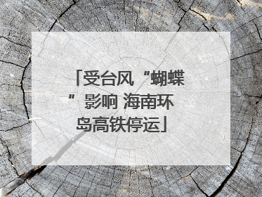 受台风“蝴蝶”影响 海南环岛高铁停运