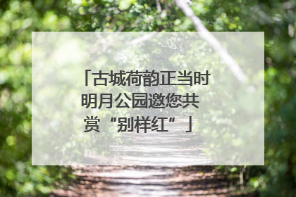 古城荷韵正当时 明月公园邀您共赏“别样红”