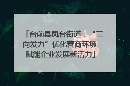 台前县凤台街道：“三向发力”优化营商环境 赋能企业发展新活力