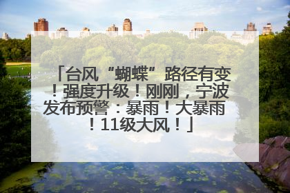 台风“蝴蝶”路径有变！强度升级！刚刚，宁波发布预警：暴雨！大暴雨！11级大风！