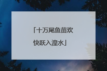 十万尾鱼苗欢快跃入湟水