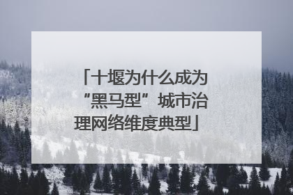 十堰为什么成为“黑马型”城市治理网络维度典型
