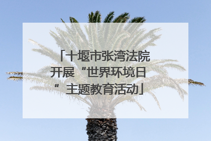 十堰市张湾法院开展“世界环境日”主题教育活动