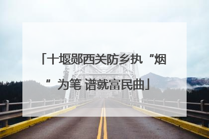 十堰郧西关防乡执“烟”为笔 谱就富民曲