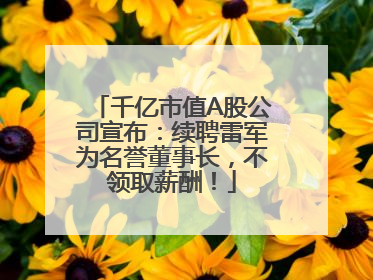 千亿市值A股公司宣布：续聘雷军为名誉董事长，不领取薪酬！