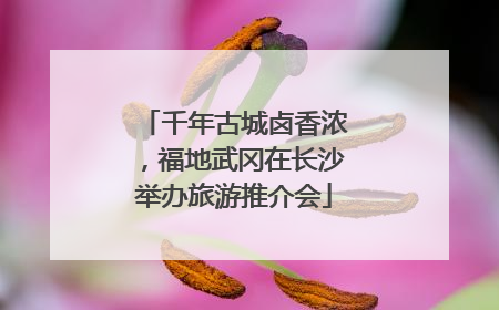 千年古城卤香浓，福地武冈在长沙举办旅游推介会