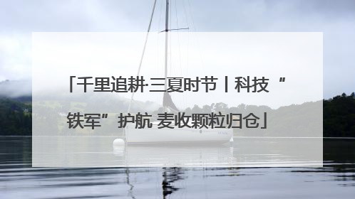 千里追耕·三夏时节丨科技“铁军”护航 麦收颗粒归仓
