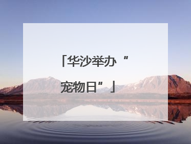 华沙举办“宠物日”