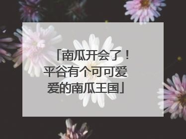 南瓜开会了！平谷有个可可爱爱的南瓜王国