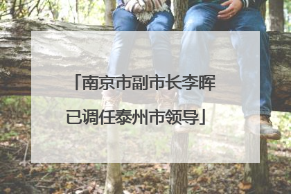 南京市副市长李晖已调任泰州市领导