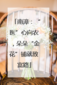 南漳：“医”心向农，朵朵“金花”铺就致富路