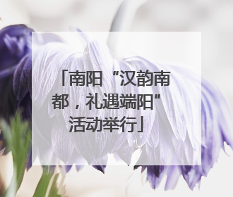 南阳“汉韵南都，礼遇端阳”活动举行