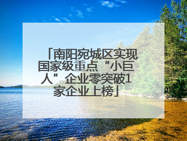 南阳宛城区实现国家级重点“小巨人”企业零突破1家企业上榜
