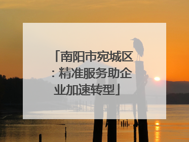 南阳市宛城区：精准服务助企业加速转型