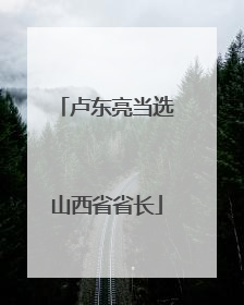 卢东亮当选山西省省长