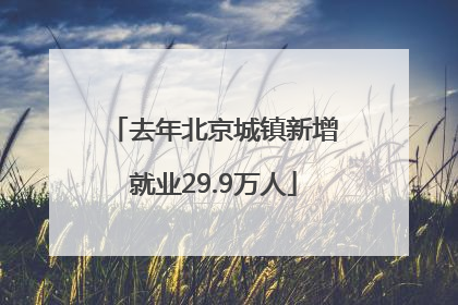 去年北京城镇新增就业29.9万人
