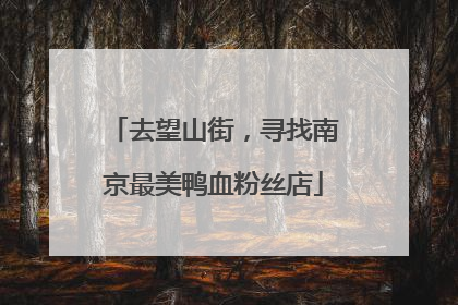 去望山街，寻找南京最美鸭血粉丝店