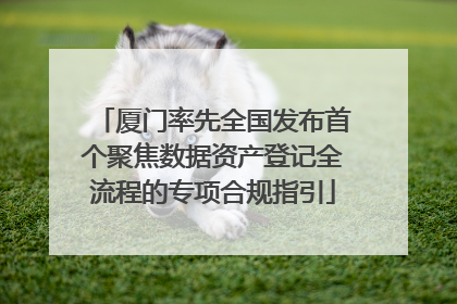 厦门率先全国发布首个聚焦数据资产登记全流程的专项合规指引