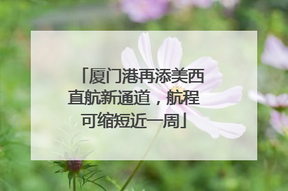 厦门港再添美西直航新通道，航程可缩短近一周