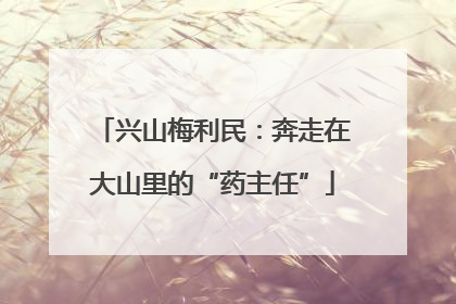 兴山梅利民：奔走在大山里的“药主任”