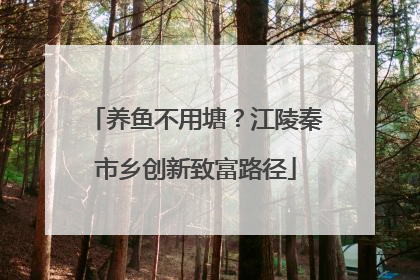 养鱼不用塘？江陵秦市乡创新致富路径