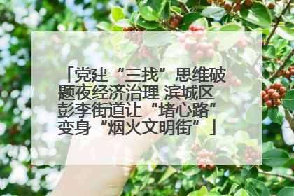 党建“三找”思维破题夜经济治理 滨城区彭李街道让“堵心路”变身“烟火文明街”
