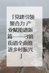 党建引领聚合力 产业赋能谱新篇——刁镇街道全面推进乡村振兴
