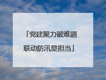 党建聚力破难题 联动防汛显担当