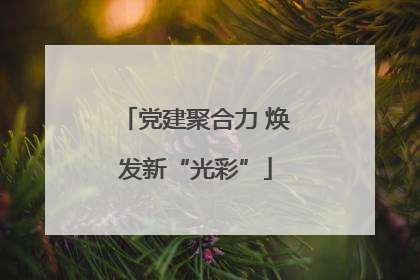 党建聚合力 焕发新“光彩”