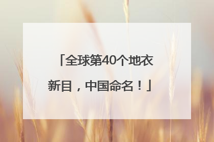 全球第40个地衣新目，中国命名！
