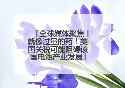 全球媒体聚焦丨就像过量的药！美国关税可能阻碍该国电池产业发展