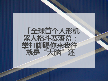 全球首个人形机器人格斗赛落幕：拳打脚踢你来我往 就是“大脑”还不好使