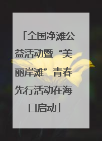 全国净滩公益活动暨“美丽岸滩”青春先行活动在海口启动
