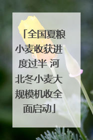 全国夏粮小麦收获进度过半 河北冬小麦大规模机收全面启动