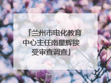 兰州市电化教育中心主任南星辉接受审查调查