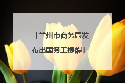 兰州市商务局发布出国务工提醒