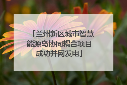 兰州新区城市智慧能源岛协同耦合项目成功并网发电