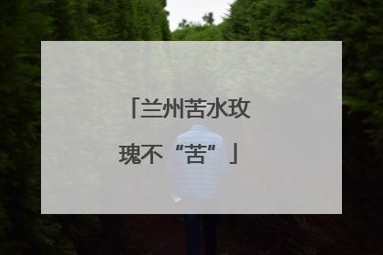 兰州苦水玫瑰不“苦”