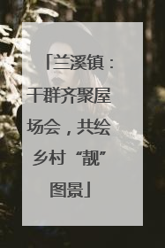 兰溪镇：干群齐聚屋场会，共绘乡村“靓”图景