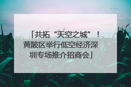 共拓“天空之城”！黄陂区举行低空经济深圳专场推介招商会