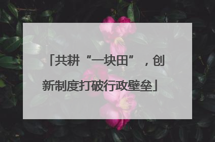 共耕“一块田”，创新制度打破行政壁垒